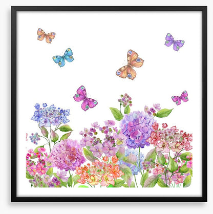 Candytuft garden