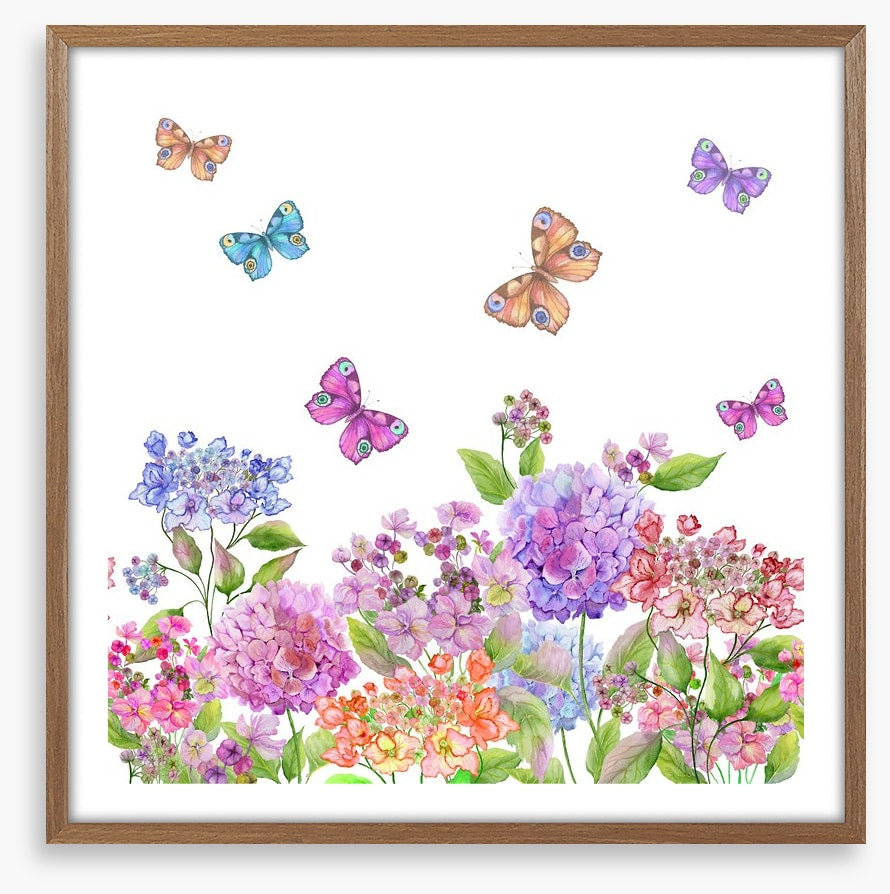 Candytuft garden