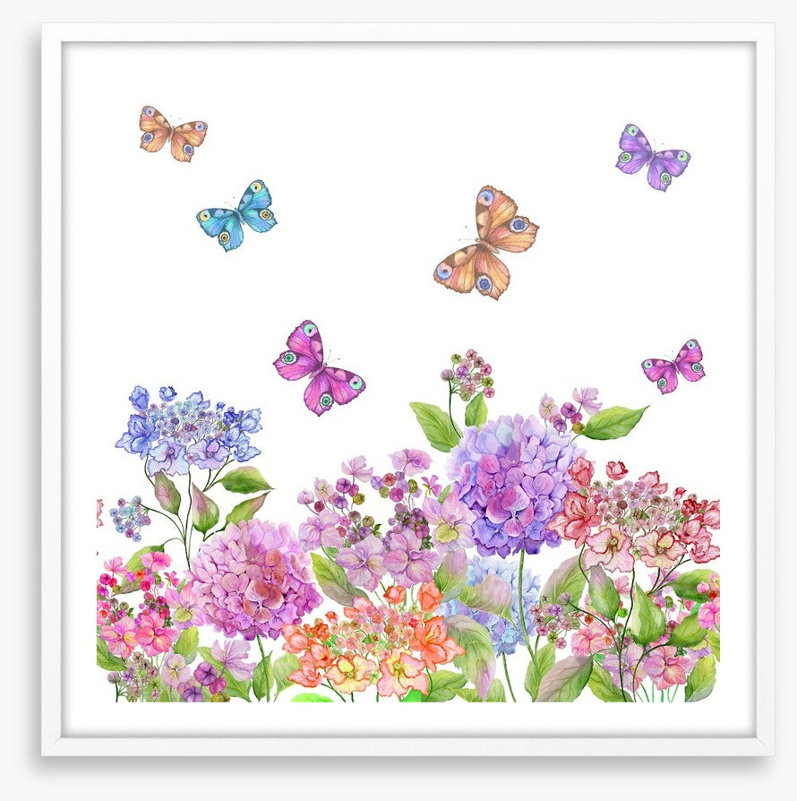Candytuft garden
