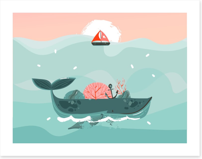 Whale sail