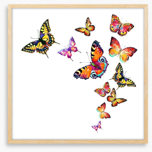 Butterflies