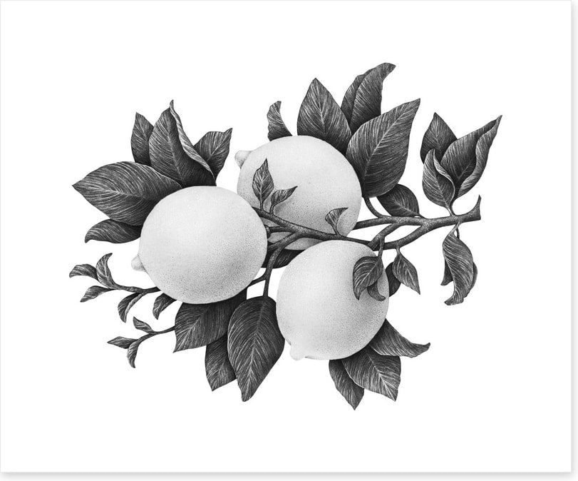 Three lemons mono