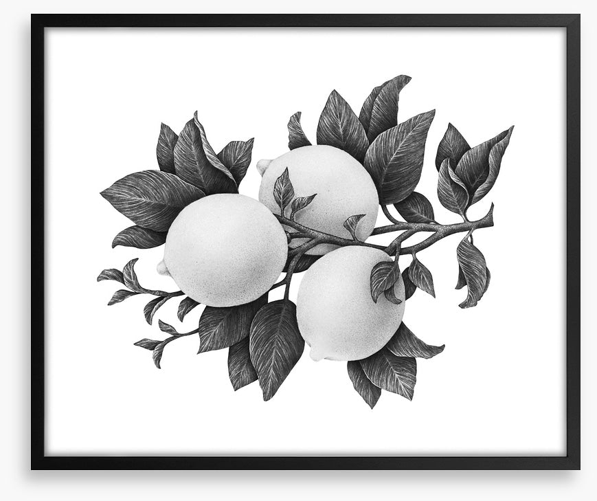 Three lemons mono