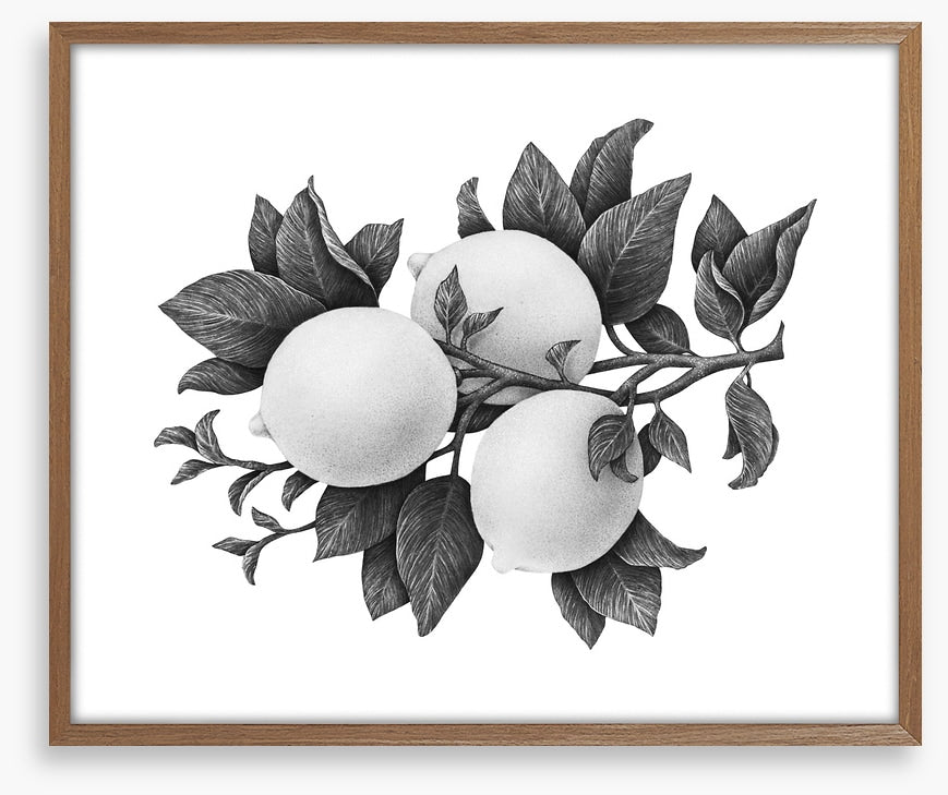 Three lemons mono