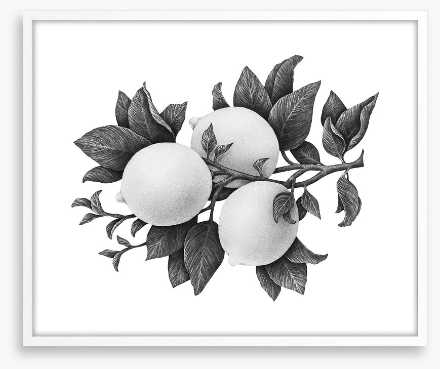Three lemons mono