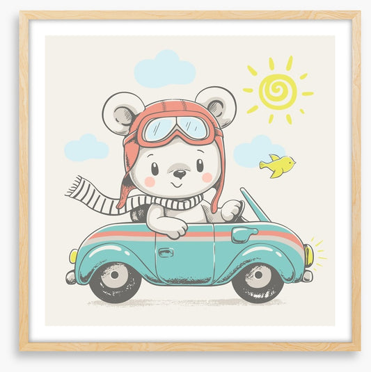 Sunny drive bear