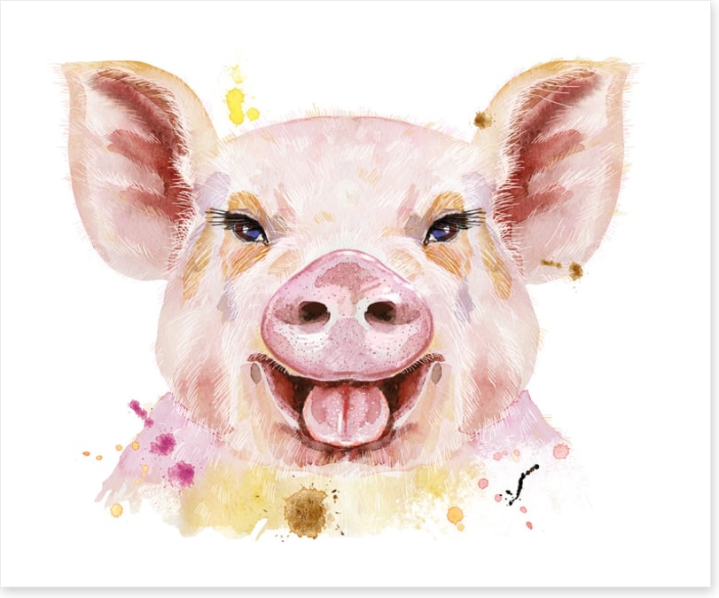 Happy hog