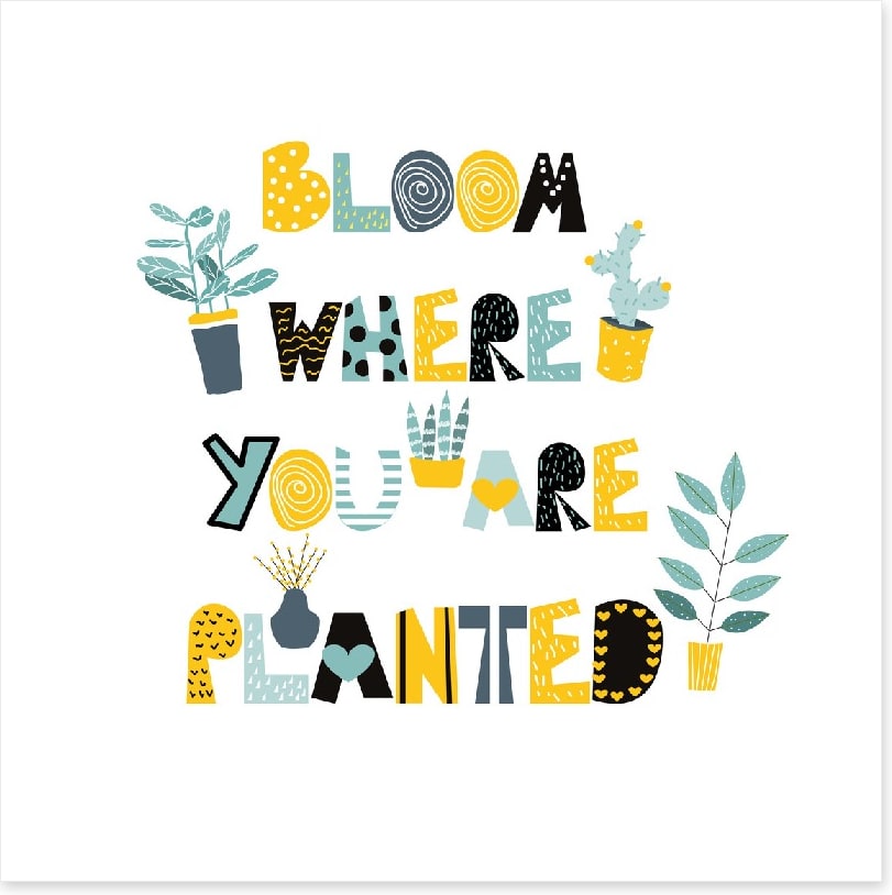Where you are planted