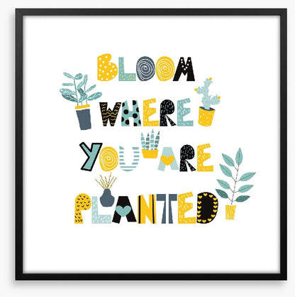 Where you are planted