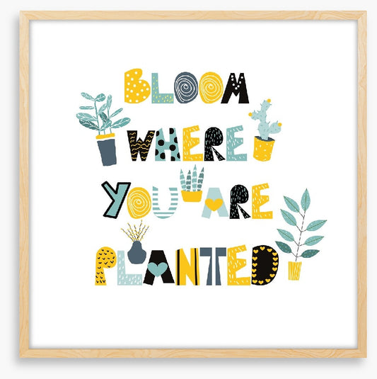 Where you are planted