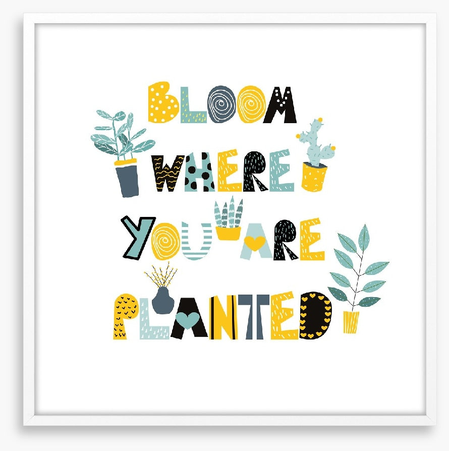 Where you are planted