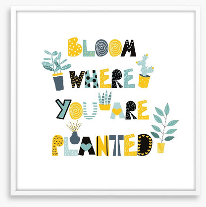 Where you are planted