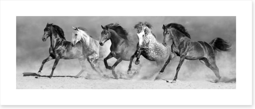 In stride panorama