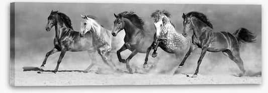 In stride panorama