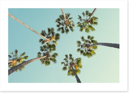 Trees
