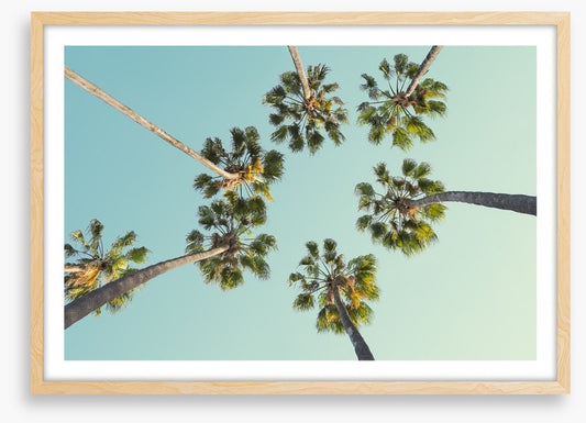 Trees