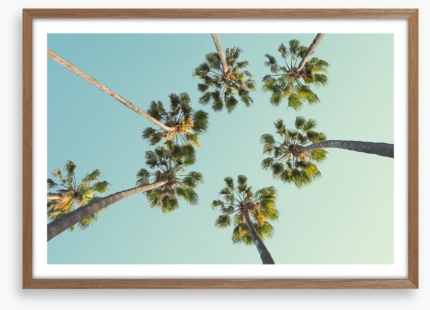 Trees