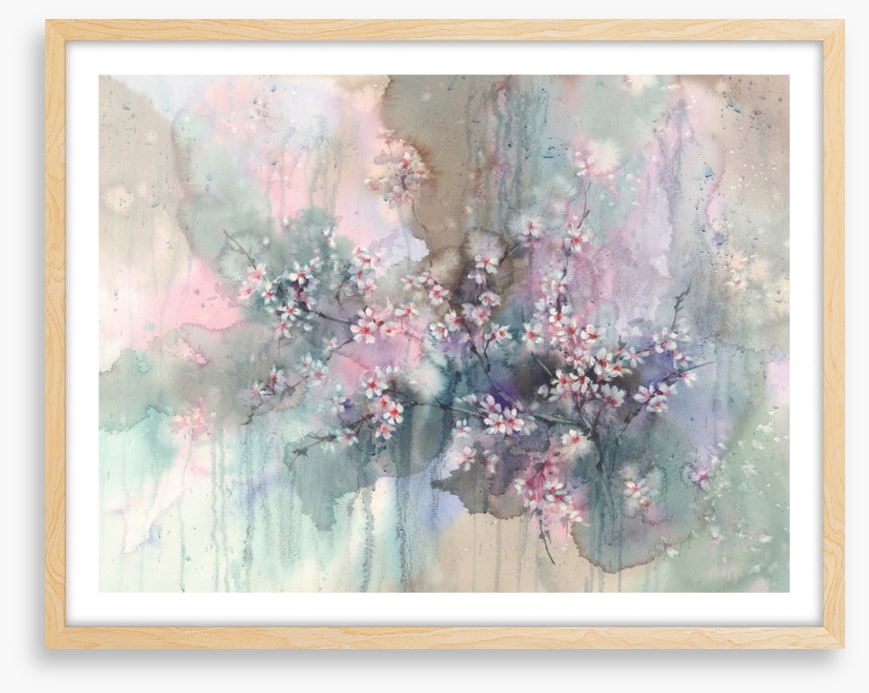 Sakura splash