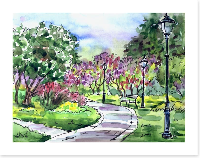 Watercolour