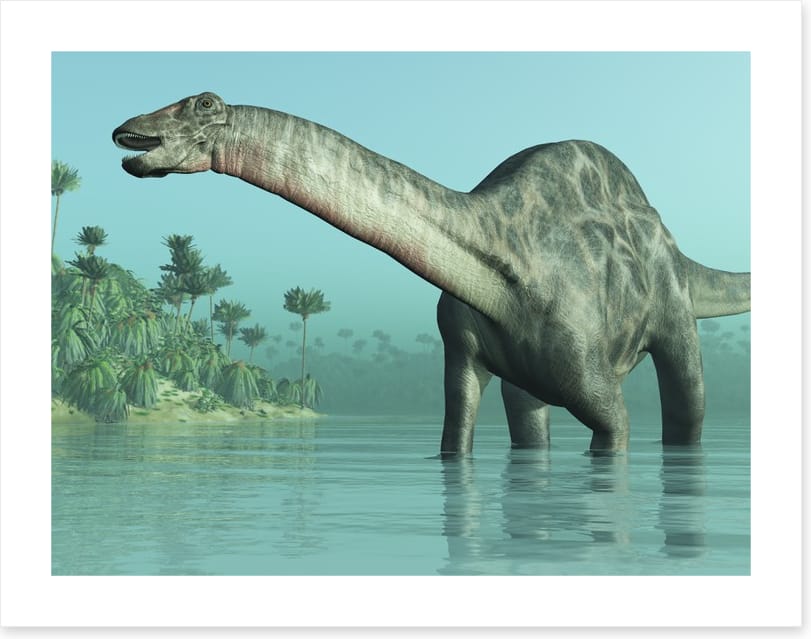 Dicraeosaurus paddle