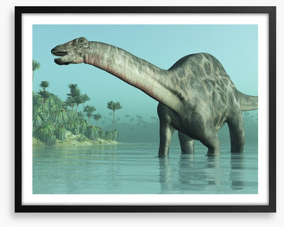 Dicraeosaurus paddle
