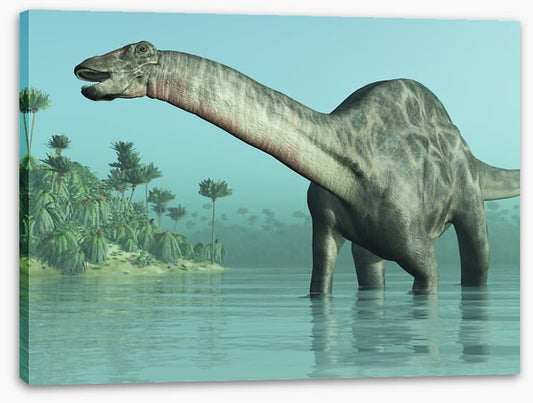 Dicraeosaurus paddle
