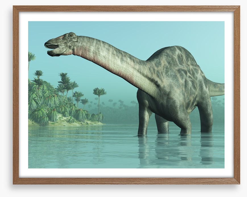 Dicraeosaurus paddle