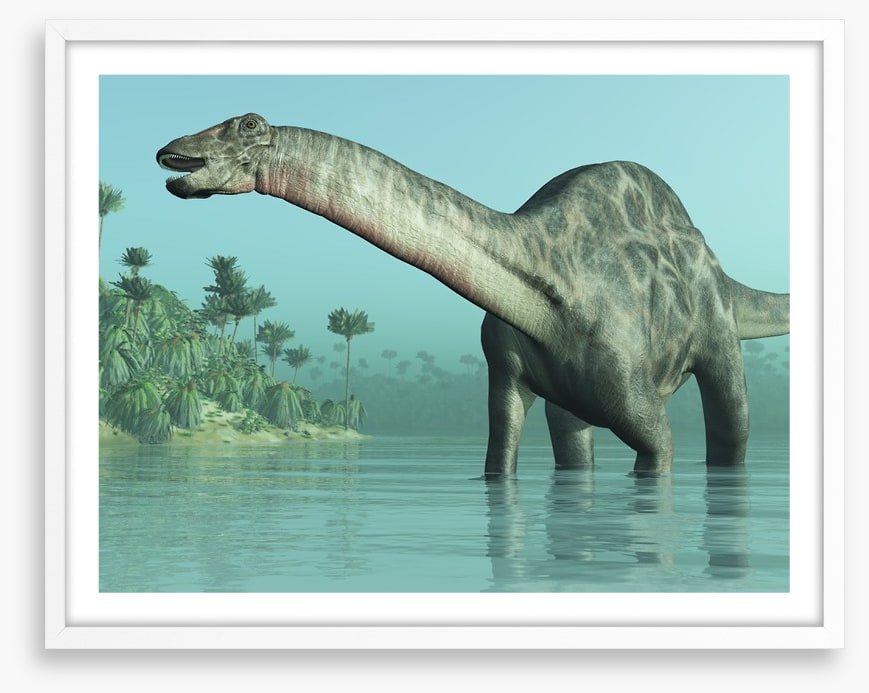 Dicraeosaurus paddle