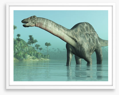 Dicraeosaurus paddle