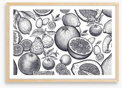 Once were fruits