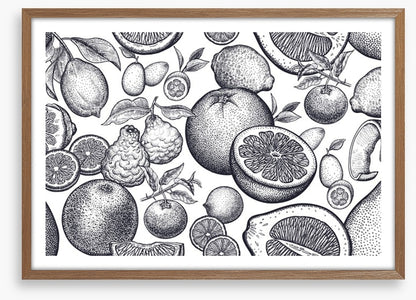 Once were fruits
