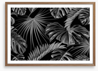 Jungle nights