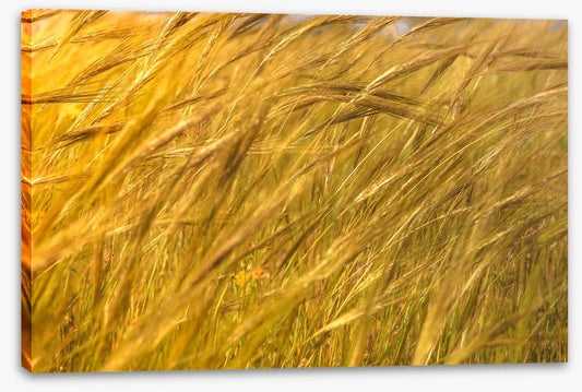 Agriculture