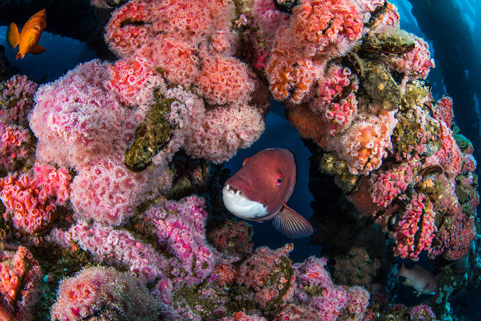 Underwater