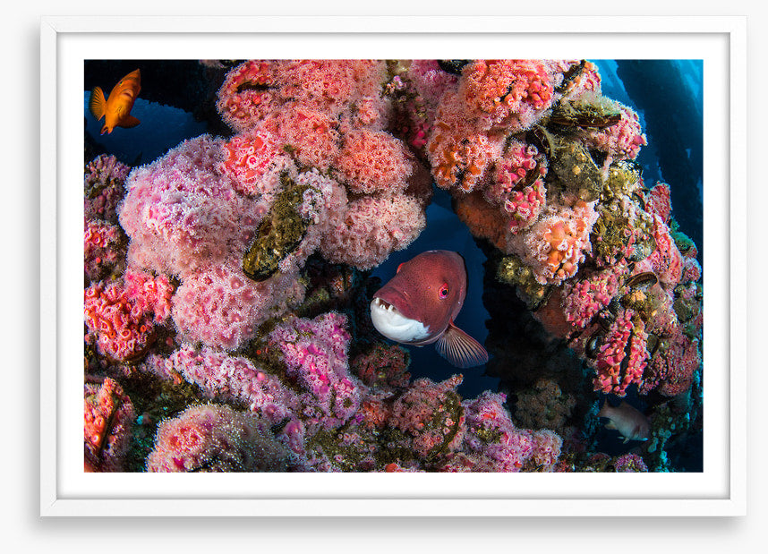 Underwater