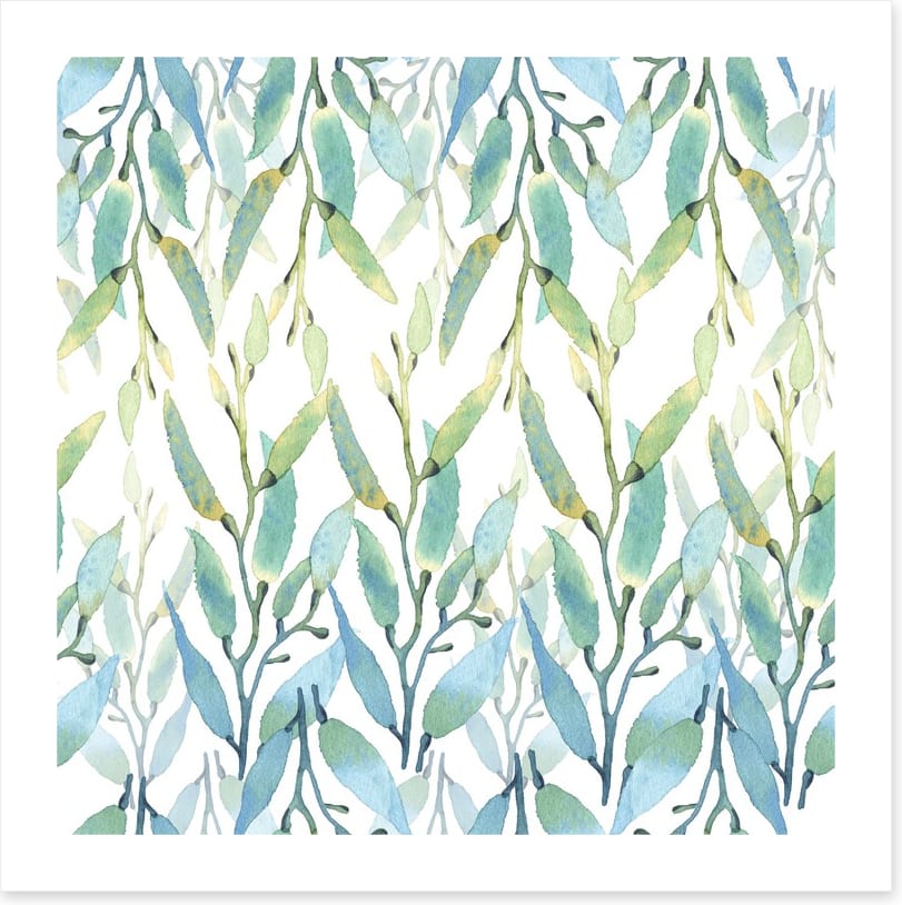 Seaweed sunlight