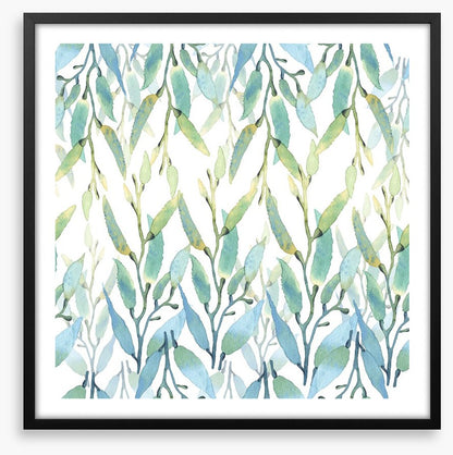 Seaweed sunlight