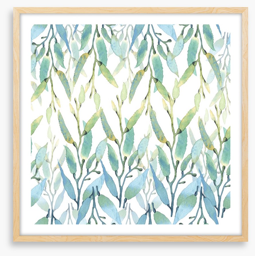 Seaweed sunlight
