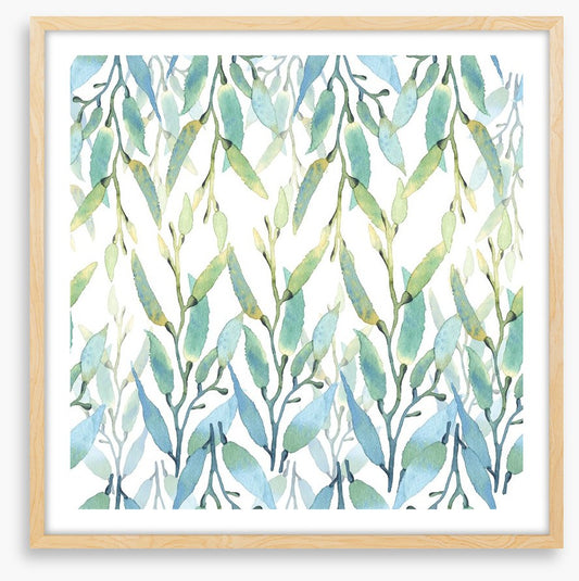 Seaweed sunlight