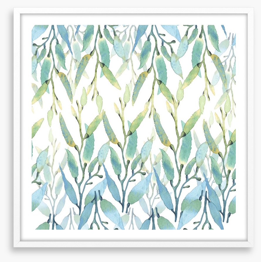 Seaweed sunlight