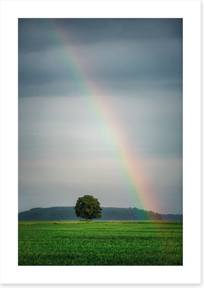 Rainbows