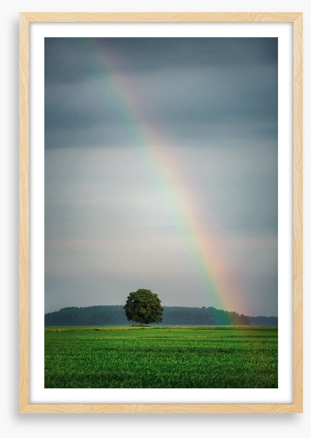 Rainbows