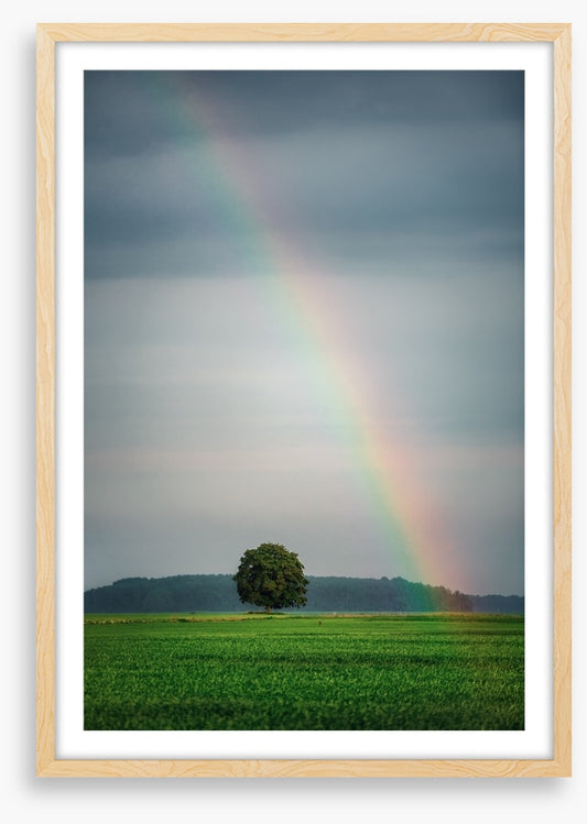 Rainbows