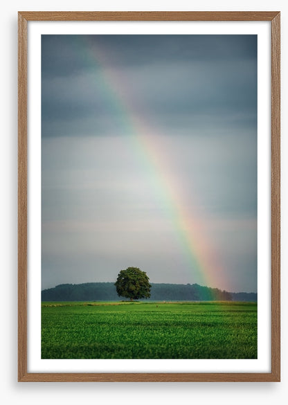 Rainbows