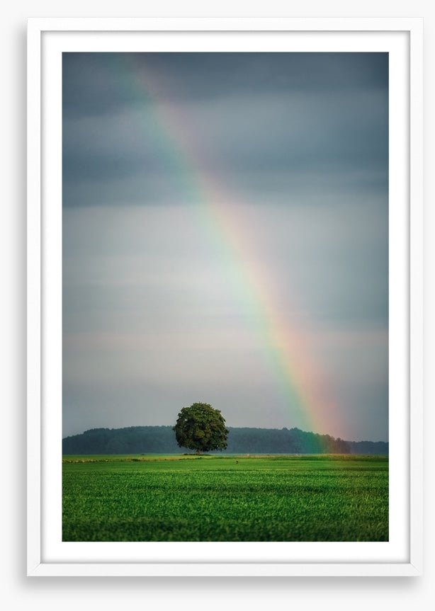 Rainbows