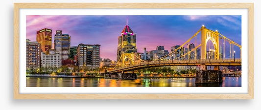 Pittsburgh city panorama
