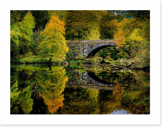 Reflecting on fall