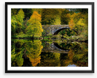 Reflecting on fall