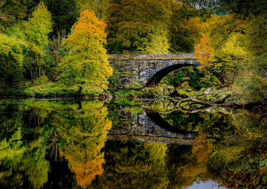 Reflecting on fall