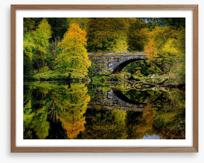 Reflecting on fall